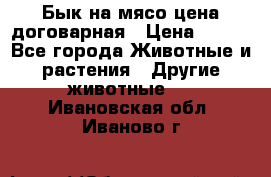 Бык на мясо цена договарная › Цена ­ 300 - Все города Животные и растения » Другие животные   . Ивановская обл.,Иваново г.